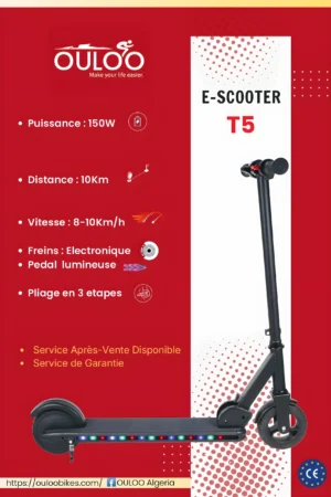 t5