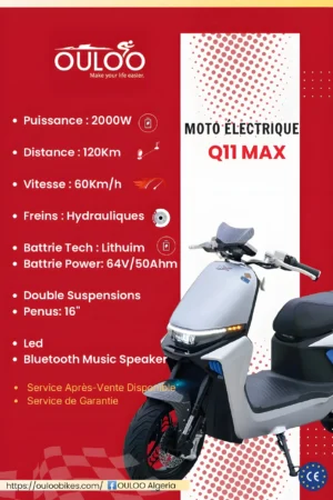 q11 max
